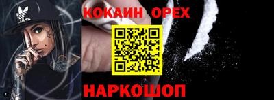СК Сланцы