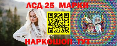 СК Сланцы