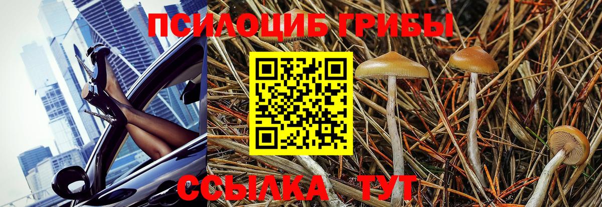 Псилоцибиновые грибы мицелий  Вход с VPN  Янаул 